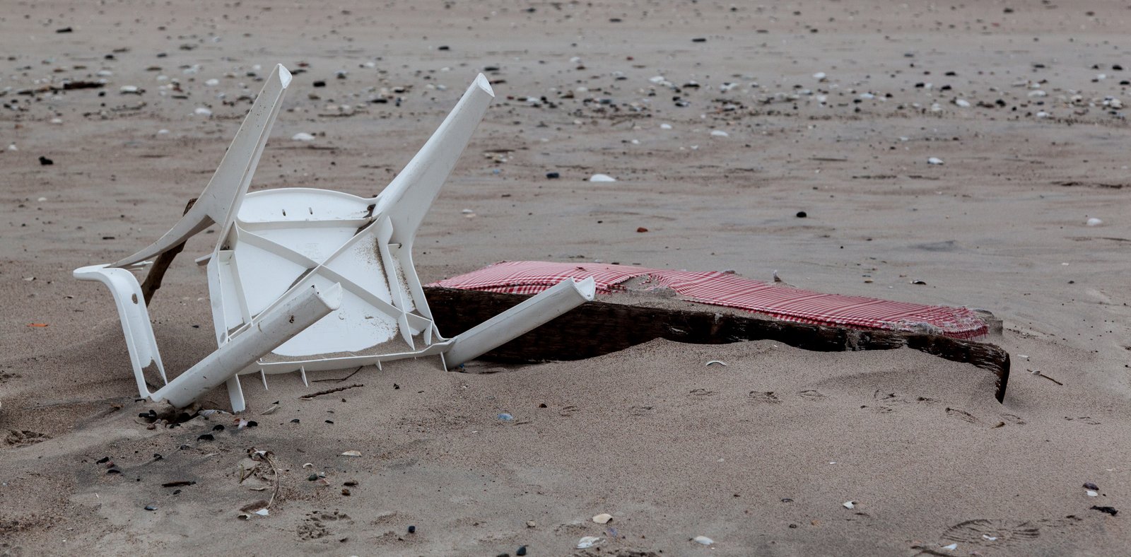 art-of-sandy-mo-seagate 2-58.jpg